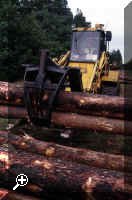 Santon Downham is the centre for Forest Enterprise's activities in Thetford Forest, where some 200,000t of timber are harvested every year. Courtesy of the Forestry Commission. > Simply click to enlarge... then use the [Back] button to return